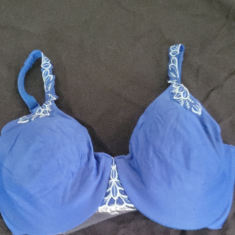 Lilyette Blue Embroidered Women's Bra Size 38 DD